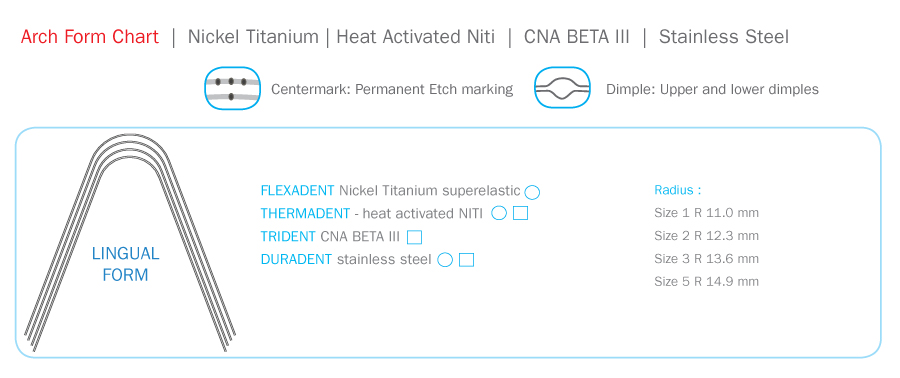 arch form chart lingual form
